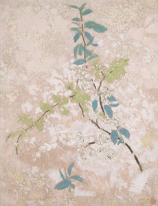 Fleurs de poirier