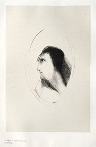 La Maison hantée : La largeur et la platitude du frontal - Odilon Redon