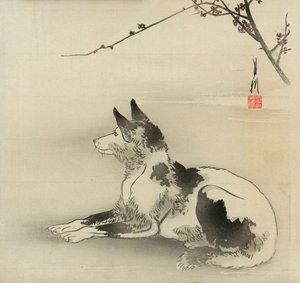 Chien noir et blanc