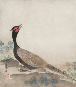  - Ogata Korin