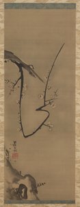 Prunus, rouleau suspendu, vers 1700 - Ogata Korin