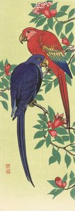 Un perroquet rouge et un perroquet bleu - Ohara Koson