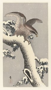 Aigle sur un pin enneigé - Ohara Koson