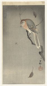 Pie-grièche à tête rousse et araignée - Ohara Koson
