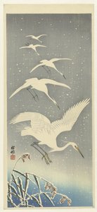 Aigrettes descendant dans la neige