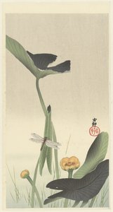 Libellule et fleur de lotus, vers 1900-1930