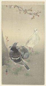 Trois pigeons apprivoisés - Ohara Koson