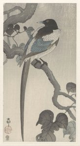 Pie sur une branche - Ohara Koson