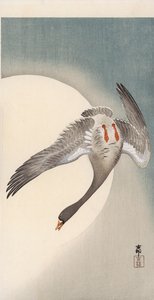 Oie à front blanc en vol vue de dessous devant la lune - Ohara Koson