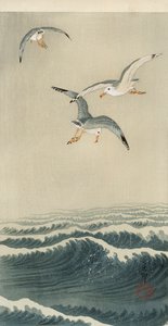Mouettes en mer