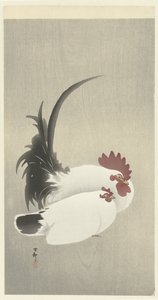 Coq et poule