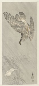 Faucon chassant un lièvre - Ohara Koson