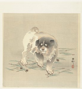 Jeune chien - Ohara Koson