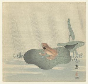 Grenouille sur une feuille de lotus