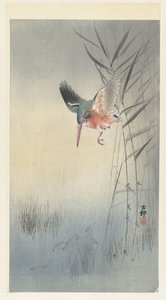 Martin-pêcheur chassant des poissons - Ohara Koson
