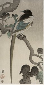 Pie sur une branche de Pauwolna (estampe sur bois en couleur)