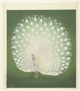 Paon - Ohara Koson