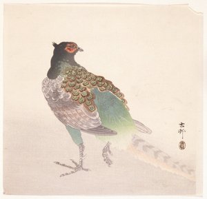 Faisan - Ohara Koson