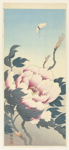 Pivoine avec papillon - Ohara Koson
