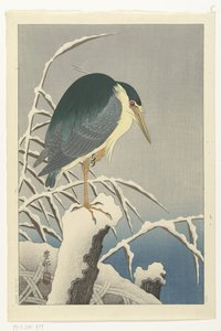 Héron dans la neige