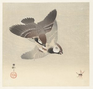 Moineaux et insecte - Ohara Koson