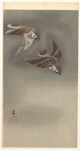 Moineaux dans la neige