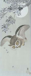 Chouette en vol avec des fleurs et la pleine lune - Ohara Koson