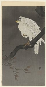 Aigle des neiges sur une branche - Ohara Koson