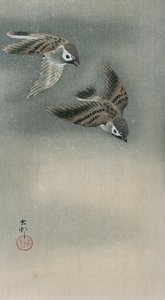 Moineaux en vol