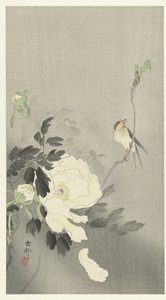 Hirondelle avec pivoine
