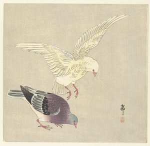 Deux pigeons