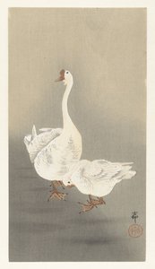 Deux oies - Ohara Koson