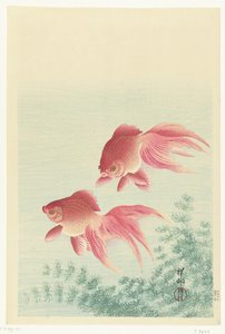 Deux poissons rouges à queue de voile - Ohara Koson