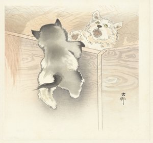 Deux chiots jouant