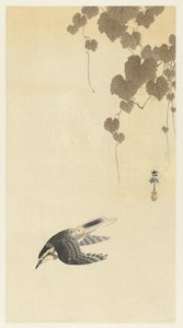Oiseau en vol descendant - Ohara Koson