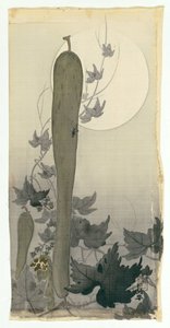 Concombre sauvage avec pleine lune