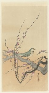 Oiseau chanteur et fleur de prunier