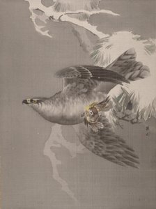 Faucon tenant un petit oiseau - Okada Baison