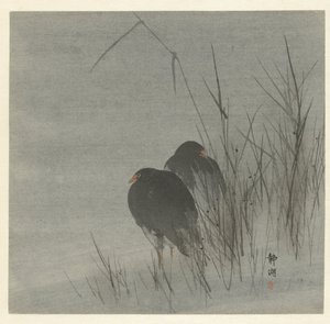 Deux foulques parmi les roseaux - Okuhara Seiko