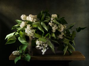 Bouquet « Moody Lilac »