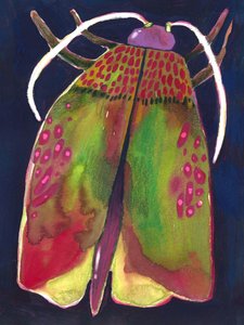 Papillon de nuit - Olga Skomorokhova