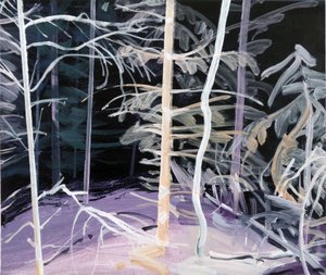 Forêt-noire 3