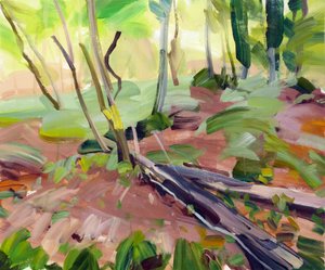 Forêt 24 - Olivier Morel