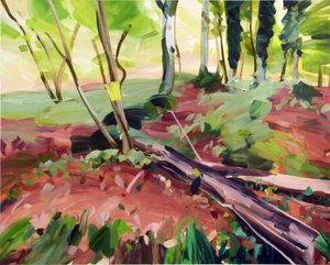 Forêt 25 - Olivier Morel