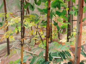 Forêt 9