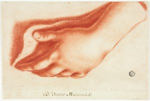 Moulage en plâtre de la main gauche