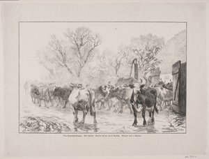Les vaches sortent de l