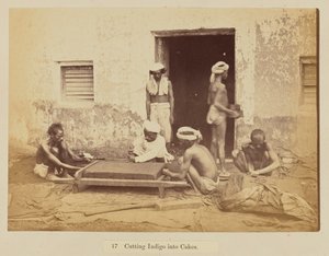 Découpage de l