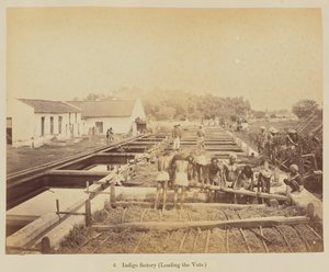 Usine d