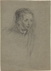 Jeune Femme avec Cheveux Tressés et Voile
